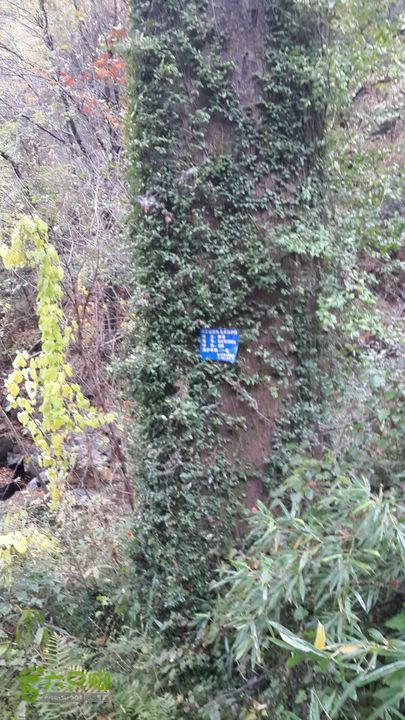 西霞坑古道2013-11-24 14:26:11