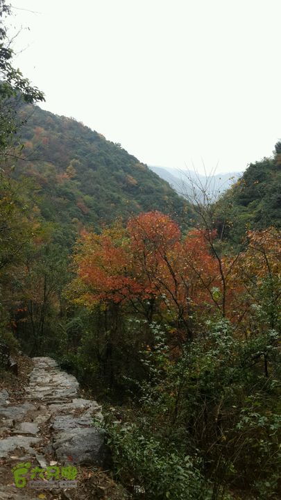 西霞坑古道2013-11-24 14:30:14