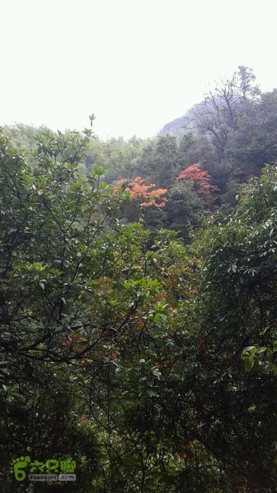 西霞坑古道2013-11-24 14:35:15