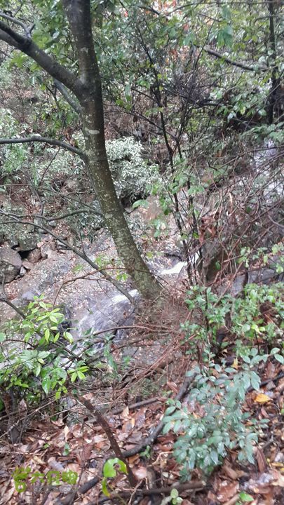 西霞坑古道2013-11-24 14:36:48