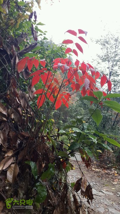 西霞坑古道2013-11-24 14:50:38