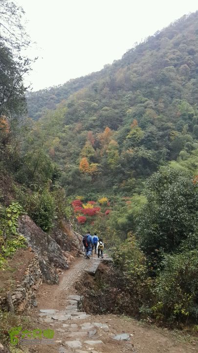 西霞坑古道2013-11-24 14:52:27