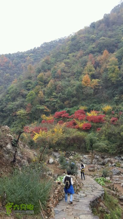 西霞坑古道2013-11-24 14:53:56