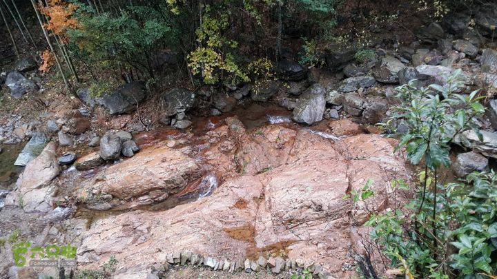 西霞坑古道2013-11-24 14:54:24