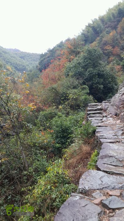西霞坑古道2013-11-24 14:54:44