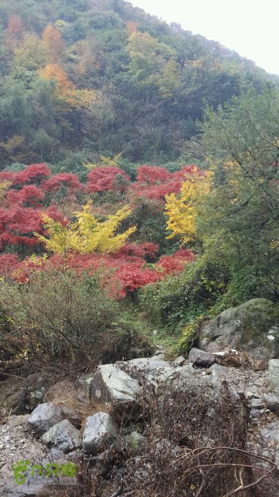 西霞坑古道2013-11-24 14:57:07