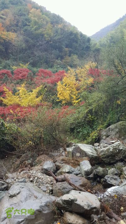 西霞坑古道2013-11-24 14:57:59