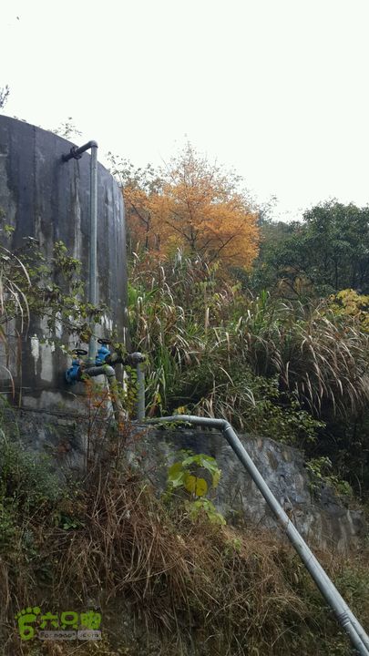 西霞坑古道2013-11-24 15:11:21