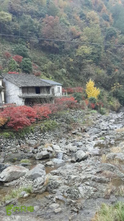 西霞坑古道2013-11-24 15:19:10