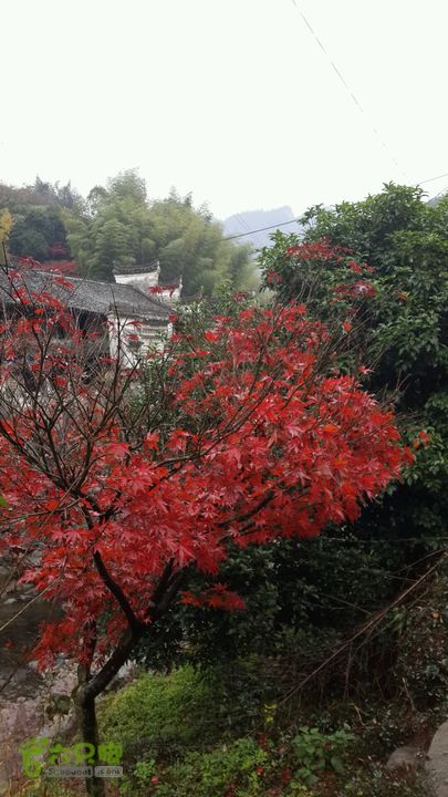 西霞坑古道2013-11-24 15:40:37