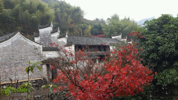 西霞坑古道2013-11-24 15:41:01