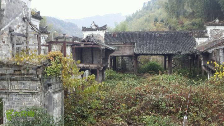 西霞坑古道2013-11-24 15:44:29