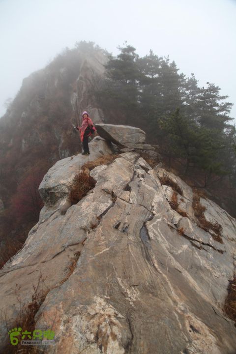 蒙山-- 蒙阳村-蛇峰-摩云崮-龟蒙顶-鳄鱼沟-蒙阳）IMG_3690