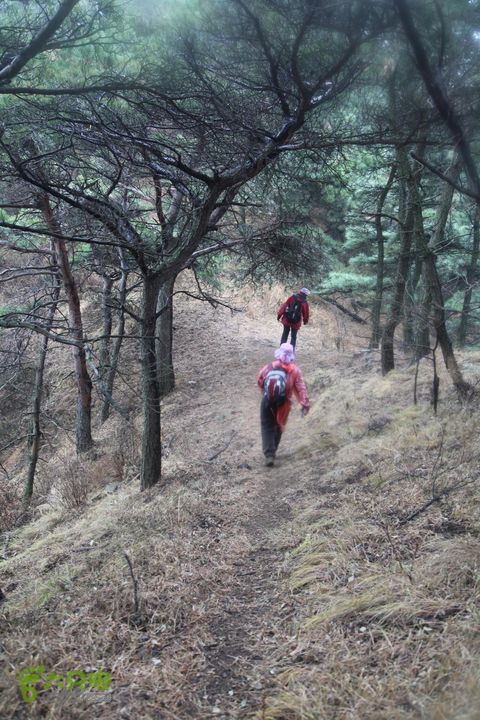 蒙山-- 蒙阳村-蛇峰-摩云崮-龟蒙顶-鳄鱼沟-蒙阳）IMG_3725