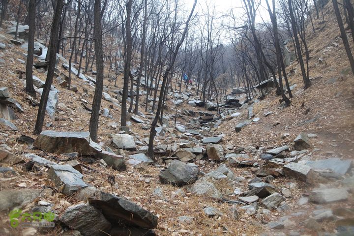 蒙山-- 蒙阳村-蛇峰-摩云崮-龟蒙顶-鳄鱼沟-蒙阳）IMG_3755