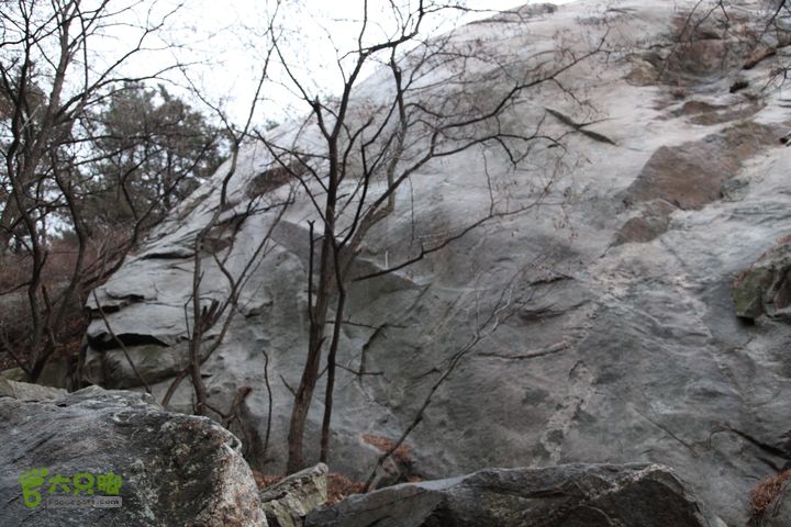 蒙山-- 蒙阳村-蛇峰-摩云崮-龟蒙顶-鳄鱼沟-蒙阳）IMG_3933