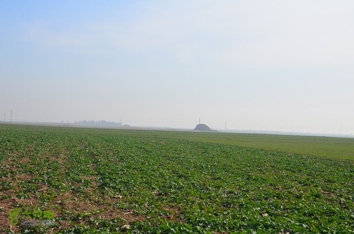 骑行三原天井岸村寻找汉代“天脐”遗址DSC_0064