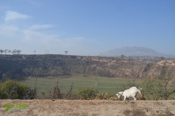骑行三原天井岸村寻找汉代“天脐”遗址DSC_0078