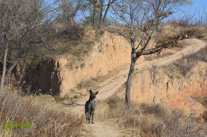骑行三原天井岸村寻找汉代“天脐”遗址DSC_0098
