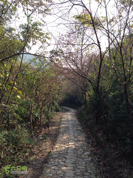 横溪村-桃花岭-秦山村-九龙湖环线