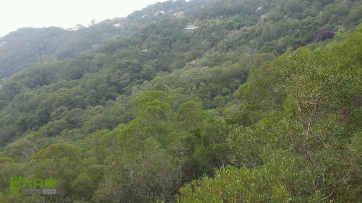 万石园林植物园（东门、国防园、花卉园、北门）2013-12-07 12:24:59