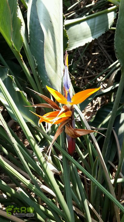 万石园林植物园（东门、国防园、花卉园、北门）2013-12-07 12:38:07