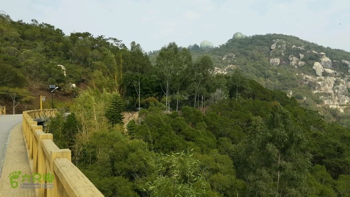 万石园林植物园（东门、国防园、花卉园、北门）2013-12-07 12:41:32