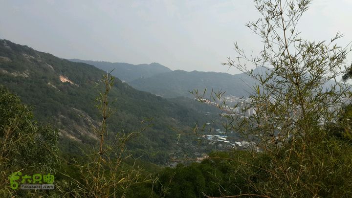 万石园林植物园（东门、国防园、花卉园、北门）2013-12-07 12:42:03