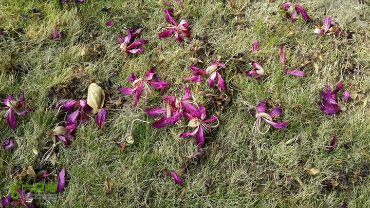 万石园林植物园（东门、国防园、花卉园、北门）2013-12-07 12:43:29