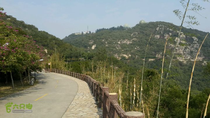 万石园林植物园（东门、国防园、花卉园、北门）2013-12-07 12:48:25