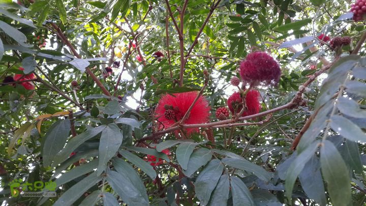 万石园林植物园（东门、国防园、花卉园、北门）2013-12-07 12:50:50