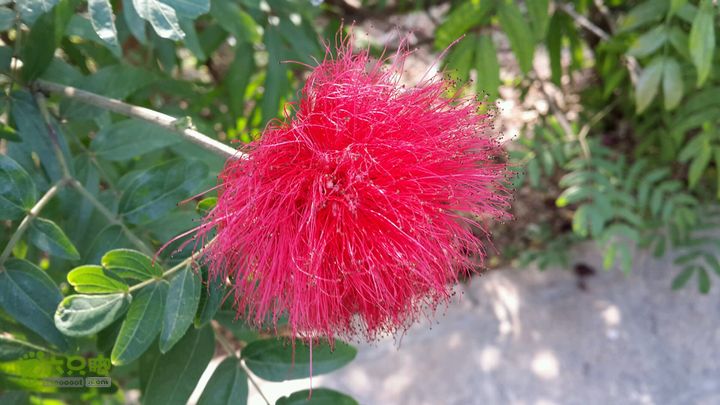 万石园林植物园（东门、国防园、花卉园、北门）2013-12-07 12:51:17