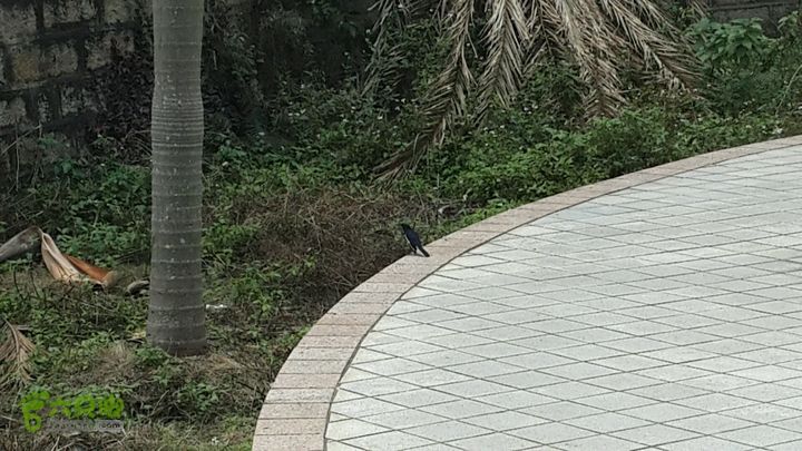 万石园林植物园（东门、国防园、花卉园、北门）2013-12-07 13:12:52