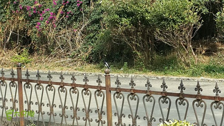 万石园林植物园（东门、国防园、花卉园、北门）2013-12-07 13:14:01