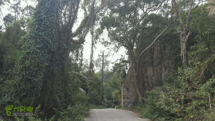 万石园林植物园（东门、国防园、花卉园、北门）2013-12-07 13:19:28