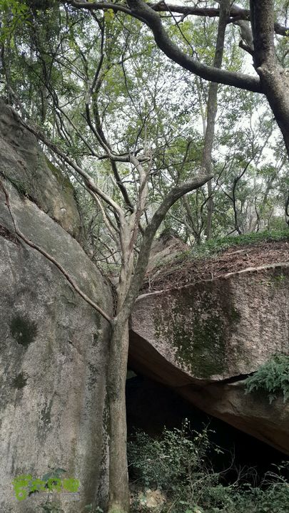 万石园林植物园（东门、国防园、花卉园、北门）2013-12-07 13:26:27