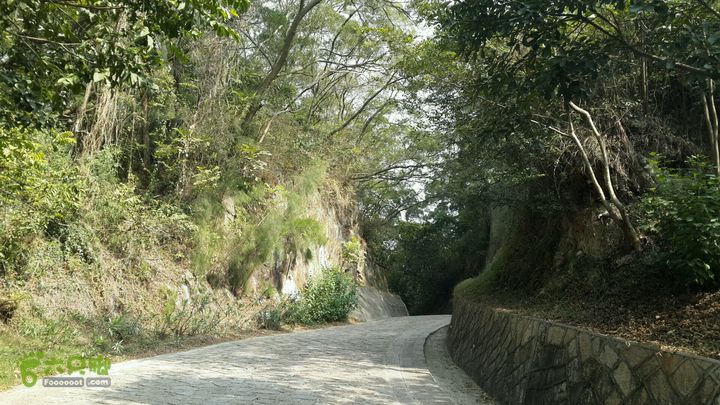 万石园林植物园（东门、国防园、花卉园、北门）2013-12-07 13:28:03