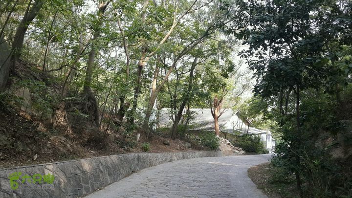 万石园林植物园（东门、国防园、花卉园、北门）2013-12-07 13:29:09