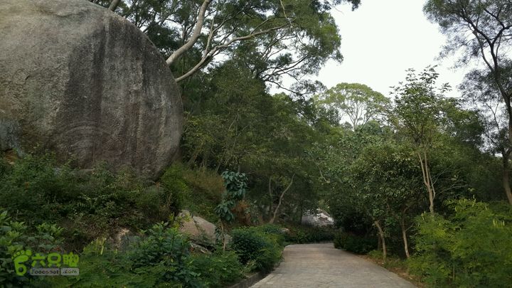 万石园林植物园（东门、国防园、花卉园、北门）2013-12-07 13:34:25