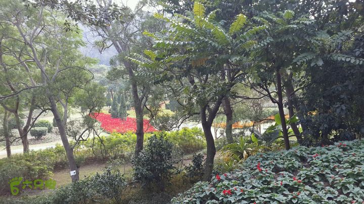 万石园林植物园（东门、国防园、花卉园、北门）2013-12-07 13:39:40