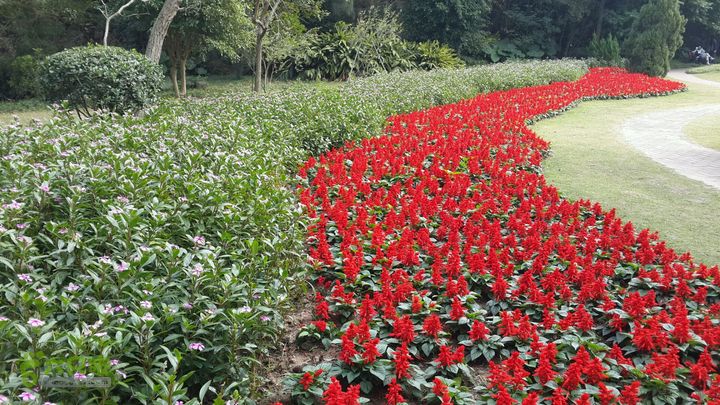 万石园林植物园（东门、国防园、花卉园、北门）2013-12-07 13:41:55