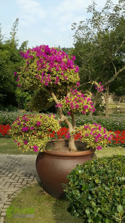 万石园林植物园（东门、国防园、花卉园、北门）2013-12-07 13:42:44