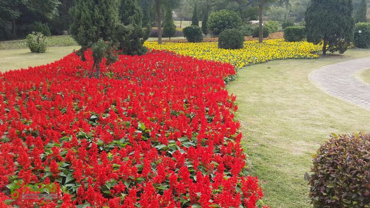 万石园林植物园（东门、国防园、花卉园、北门）2013-12-07 13:44:56