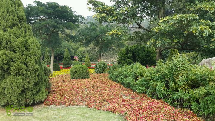 万石园林植物园（东门、国防园、花卉园、北门）2013-12-07 13:49:18