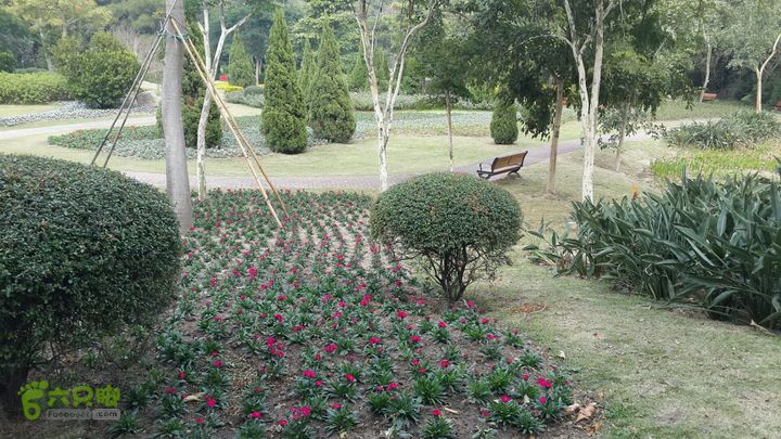 万石园林植物园（东门、国防园、花卉园、北门）2013-12-07 13:50:58