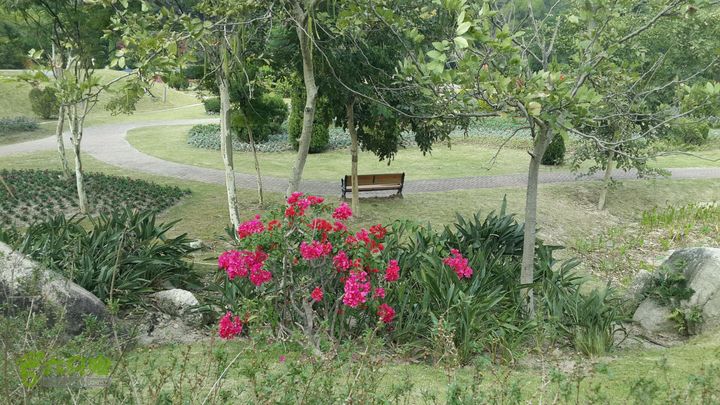 万石园林植物园（东门、国防园、花卉园、北门）2013-12-07 13:51:35