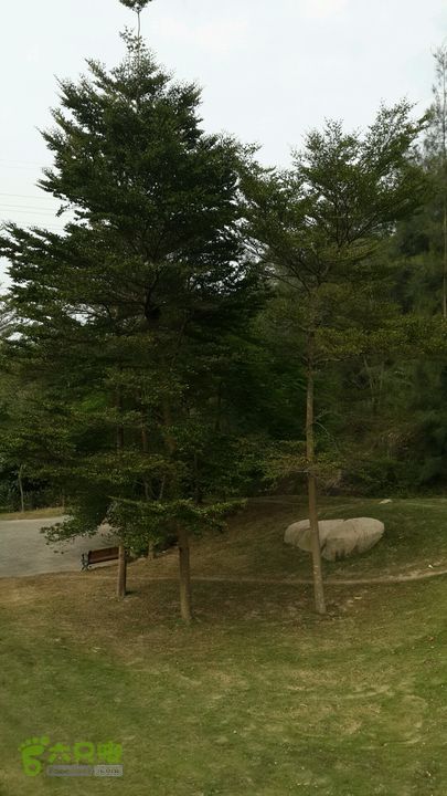 万石园林植物园（东门、国防园、花卉园、北门）2013-12-07 13:53:06