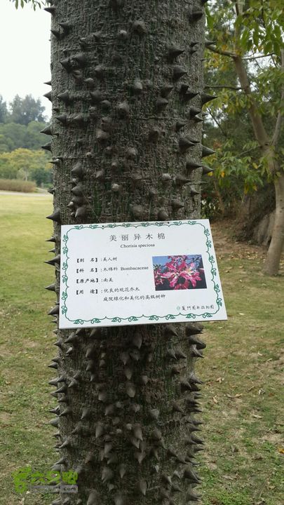 万石园林植物园（东门、国防园、花卉园、北门）2013-12-07 13:57:43