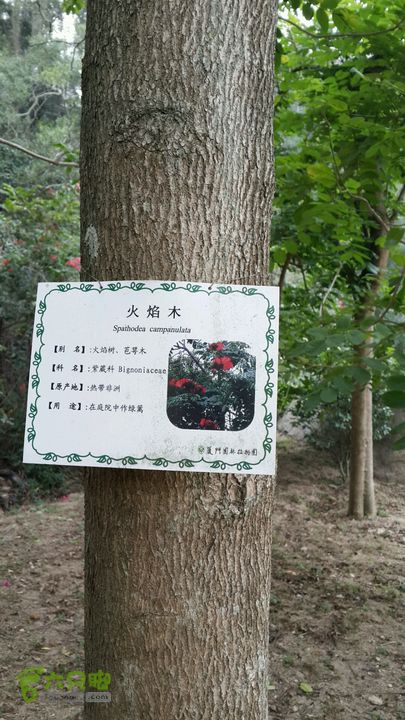 万石园林植物园（东门、国防园、花卉园、北门）2013-12-07 13:58:02