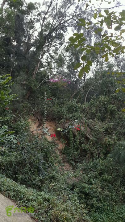 万石园林植物园（东门、国防园、花卉园、北门）2013-12-07 13:58:28